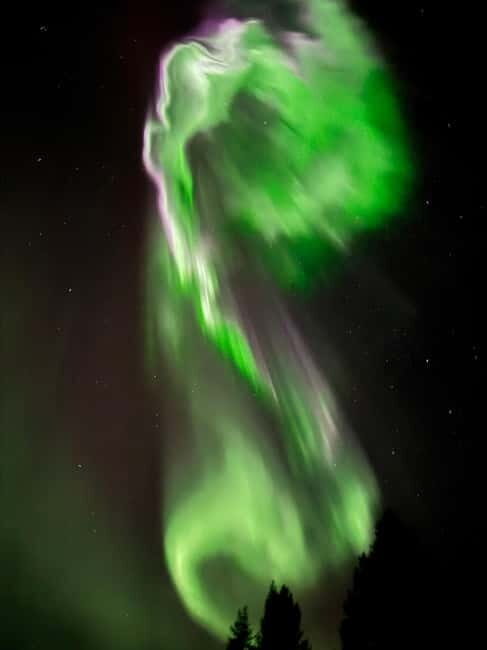 Ruka: Aurora Quest - Northern Lights Hunt by Car - Practical Aspects & What to Expect