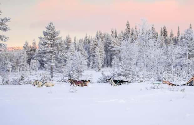 Ruka: Husky Ride and Farm Visit + Fireside Treats - FAQ