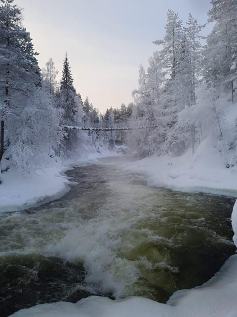Ruka: Oulanka National Park Kìutaköngäs with lunch. - Discovering the Experience: A Complete Breakdown
