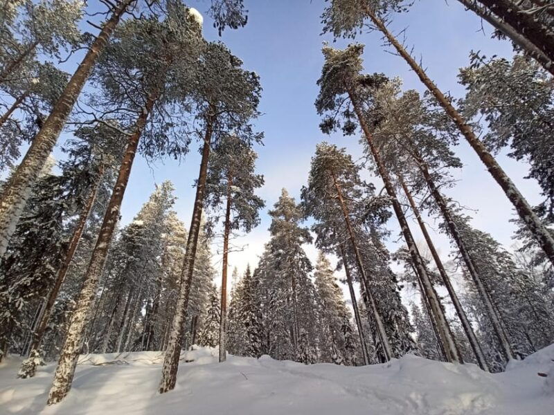Ruka: Oulanka National Park Kìutaköngäs with lunch. - Practical Tips for Travelers