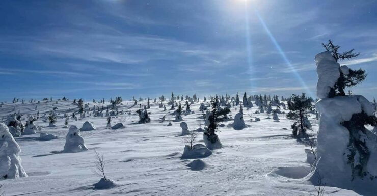 Ruka: Riisitunturi National Park. - Detailed Itinerary