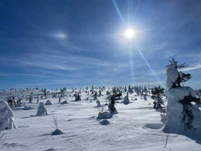 Ruka: Riisitunturi National Park. - Wildlife Spotting Opportunities