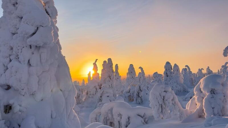 Ruka: Riisitunturi National Park with lunch. - The Value of This Experience