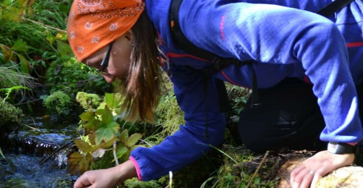Ruka : Strength From Nature – Hiking Trip - Booking Your Adventure