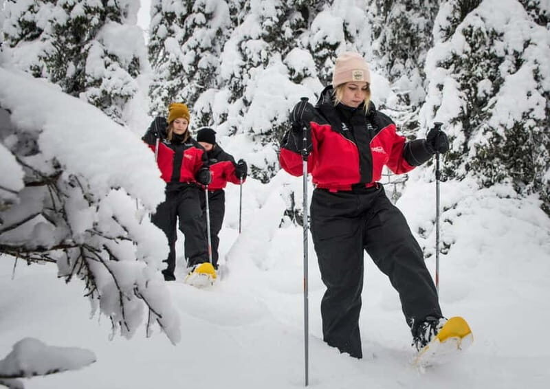 Ruka:Daytime winter wonderland hike - Ruka: Daytime Winter Wonderland Hike — A Deep Dive into Arctic Serenity