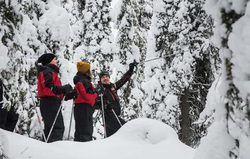 Ruka:Daytime winter wonderland hike - Who Will Love It?