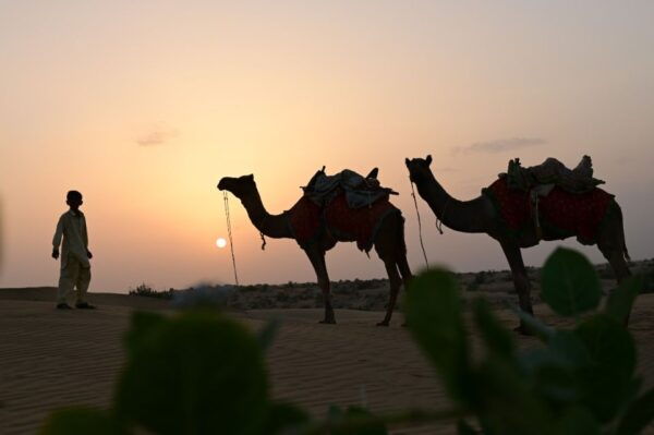 Rumis Desert Camp Resort - Common Questions