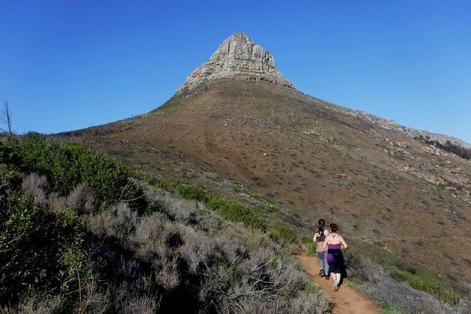 Run Trail Lions Head Signal Hill Morning - The Sum Up