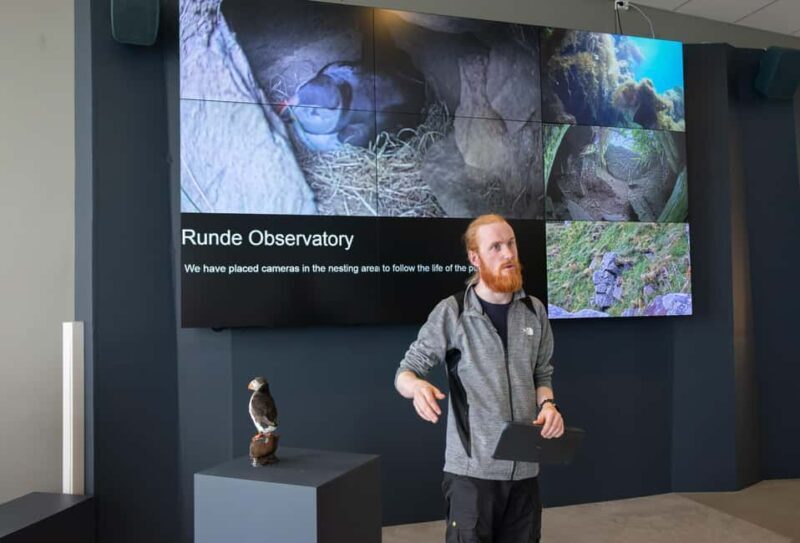 Runde: Guided Tour of Runde Enviromental Centre Exhibition - Who Should Consider This Tour?