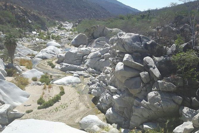 Rural And Hiking Expedition In Sierra La Laguna - Rural Baja and Local Flavors