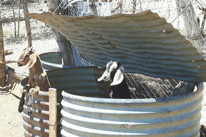 Rural And Hiking Expedition In Sierra La Laguna - Final Thoughts: Is It Worth It?