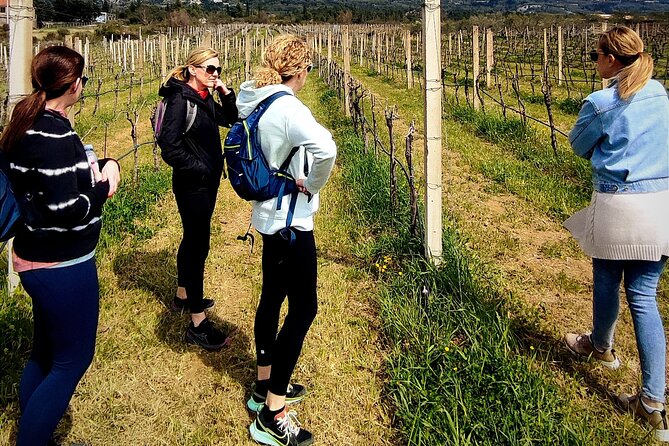 Rural Biking & Wine Tasting Tour in Dubrovnik - Tour Overview