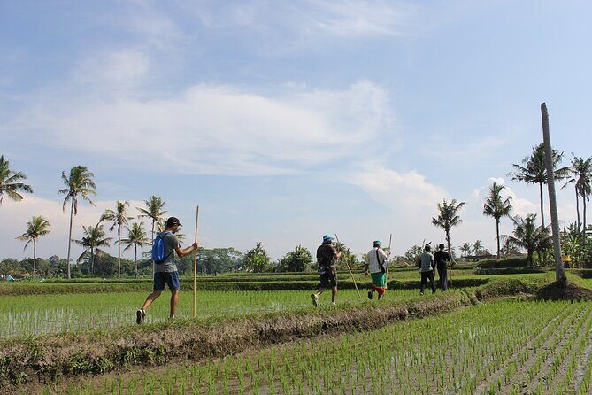 Rural Charm of Bali Tour - Good To Know