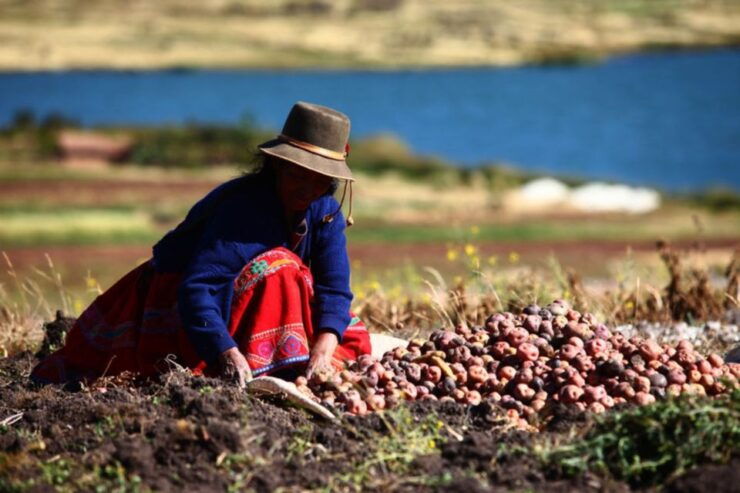 Rural Community Tourism in the Potato Park - Sacred Valley - Experience and Activities