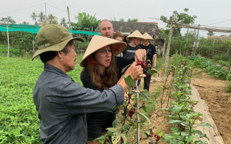 Rural Cycle, Market Tour, Basket Boat & Organic Farm Cooking - Cycling Through Rice Fields and Villages