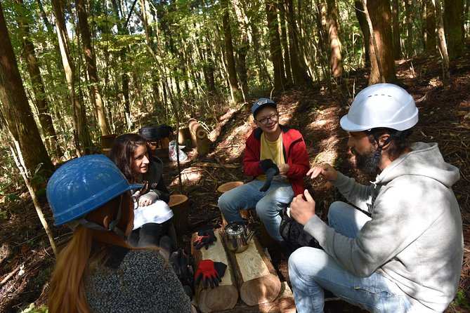 Rural Forestry Tour in Aso Minamioguni - Overview and Experience