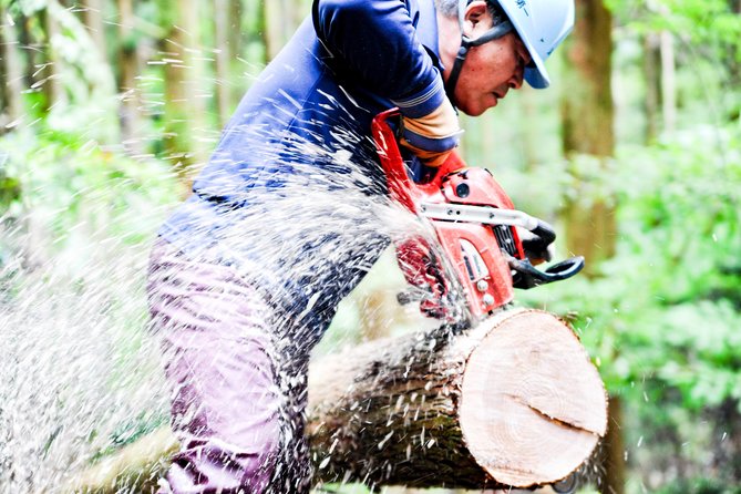 Rural Forestry Tour in Aso Minamioguni - Inclusions and Logistics