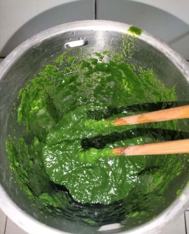 Rural Guilin Tour: Mugwort Rice Ball from Farm to Table - FAQ