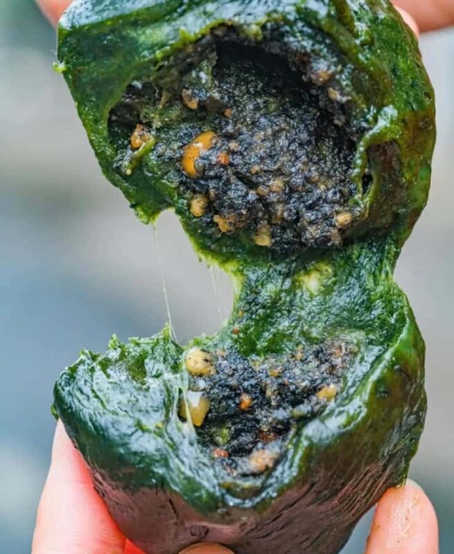 Rural Guilin Tour: Mugwort Rice Ball from Farm to Table - What Reviewers Say