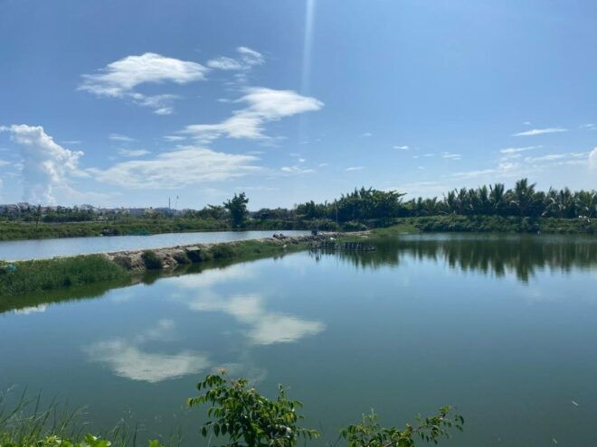 Rural Hoi An Cycling Tour: Explore the Authentic Charm - Visit Historic Tra Que Village