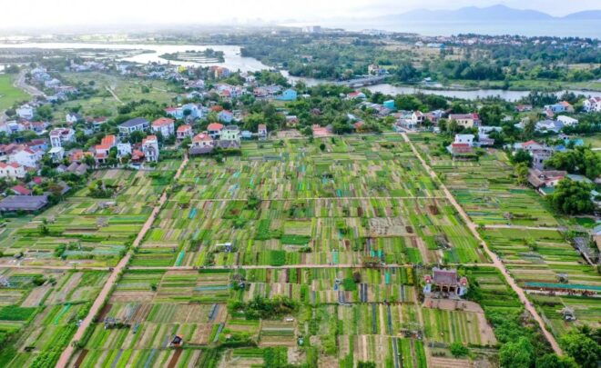 Rural Hoi An Cycling Tour: Explore the Authentic Charm - Enjoy a Fun Basket Boat Ride