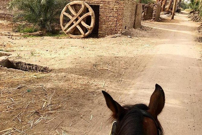 Rural Horse Riding Adventure - Logistics