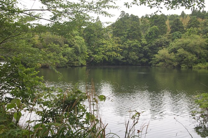 Rural Japan Cycling Tour to the Rich Nature Area in Ichinomiya - Pricing