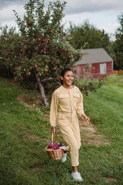 Rural Moldova: Best Yoga Farm Retreat for Soul and Body - Pricing and Value