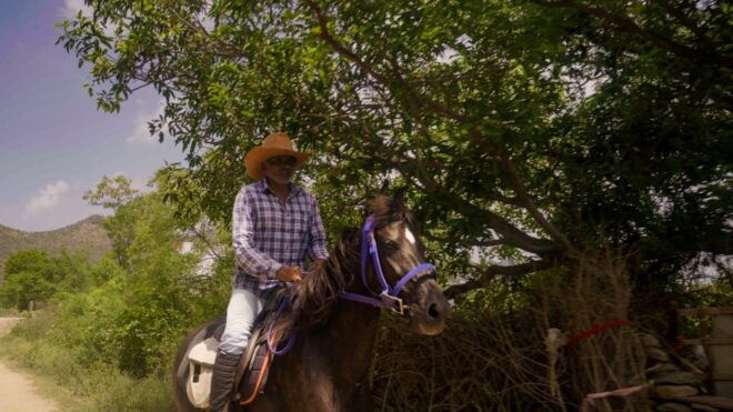 Rural Trail On Marwari Horseback At Private Ranch in 12Acres - Riding Lessons and Trail