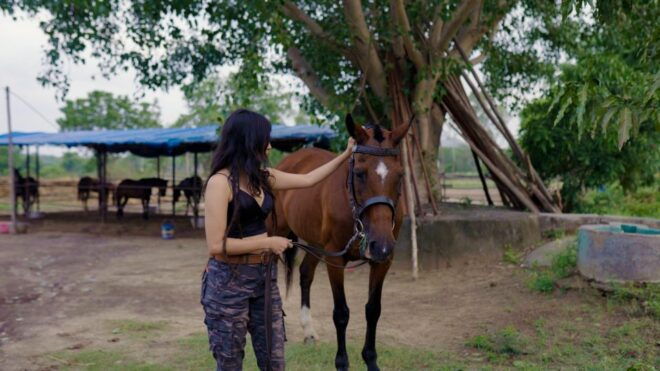 Rural Trail On Marwari Horseback At Private Ranch in 12Acres - Inclusions and Restrictions