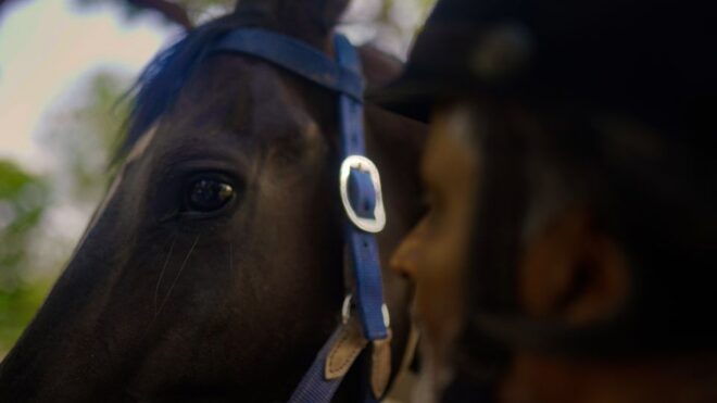 Rural Trail On Marwari Horseback At Private Ranch in 12Acres - Customer Reviews and Directions