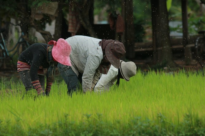 Rural Village With Ox Cart Journey & Monk Blessing - Dress Code and Restrictions
