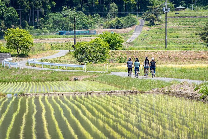 Rural Villages & Brewery Town: Private 1-Day Cycling Near Kyoto - Customer Reviews and Ratings