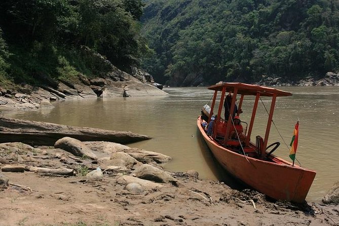 Rurrenabaque Pampas. 3 Days & 2 Nights. PRIVATE TOUR. (PLS ASK FOR SHARED TOUR) - Tour Highlights