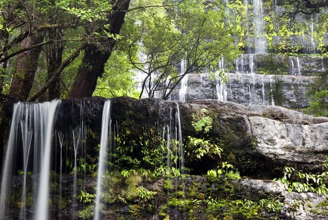 Russell Falls, Mt. Wellington & Tassie Devils Active Day Tour From Hobart - Reviews and Recommendations