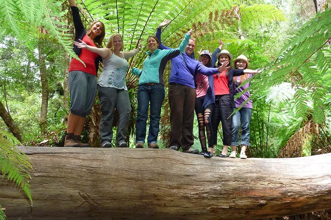 Russell Falls, Mt. Wellington & Tassie Devils Active Day Tour From Hobart - Tour Details
