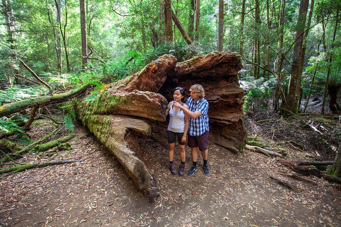 Russell Falls, Mt. Wellington & Tassie Devils Active Day Tour From Hobart - Common Questions
