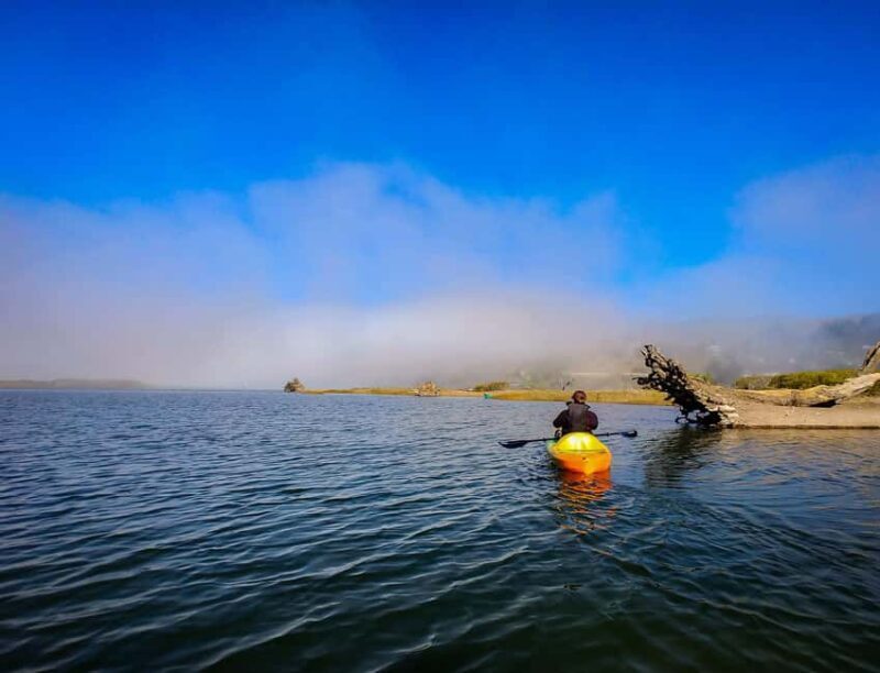 Russian River: Kayak Tour - Who Should Consider This Tour?
