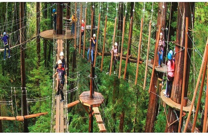 Russian River Valley & Giant Redwoods Private Tour Entrace Fees Included - Tour Highlights