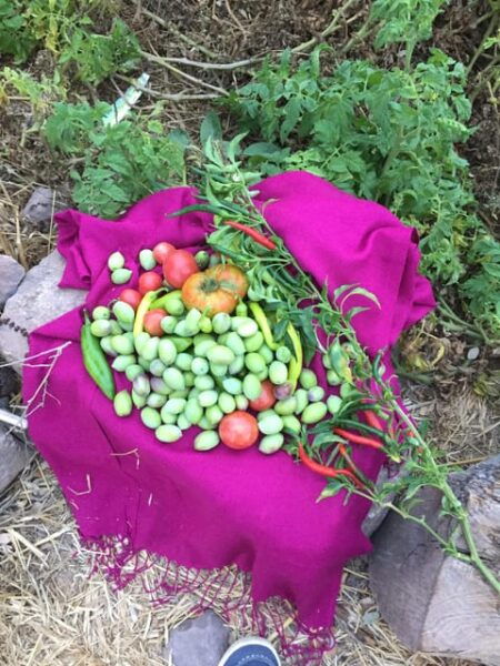 Rustic Cooking Day at Bodrum Country Home - Frequently Asked Questions