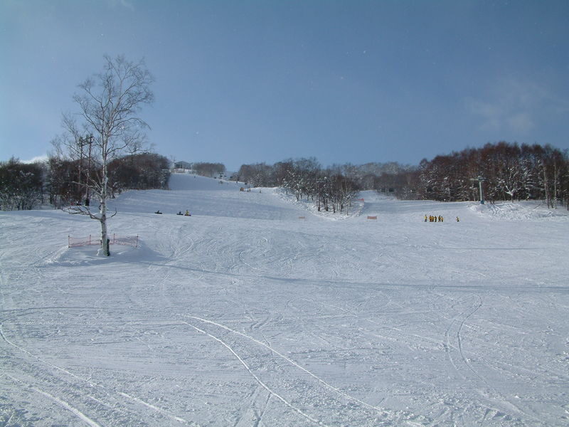 Rusutsu Resort Lift Ticket with Roundtrip Shuttle - What the return journey means for your day