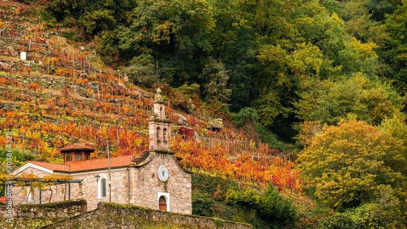 Ruta Ribeira Sacra and Sarria: Between Vineyards, History and the Way of Saint James - The Itinerary in Detail