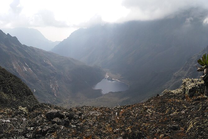 Rwenzori Mountains Trekking With Margherita Peak Summit - Frequently Asked Questions