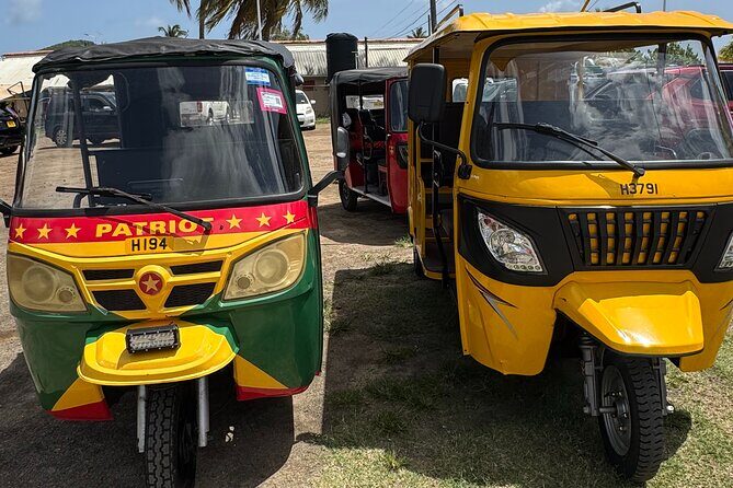 Ryde Tuk Tuk Eco and History Tour in St David Grenada - A Deep Dive into the St. David Adventure