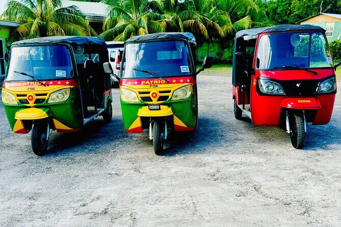 Ryde Tuk Tuk Eco and History Tour in St David Grenada - Final Thoughts