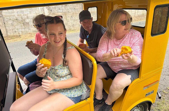 Ryde Tuk Tuk Eco and History Tour in St David Grenada - Frequently Asked Questions