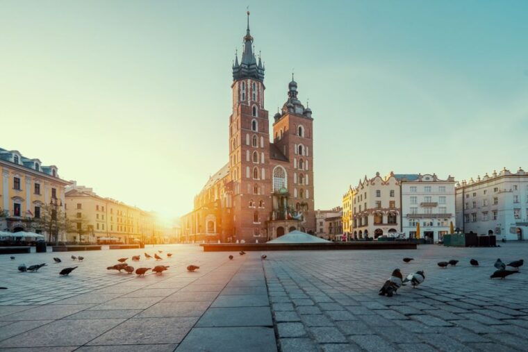 Rynek Underground Museum Guided Tour - Who Should Consider This Tour?