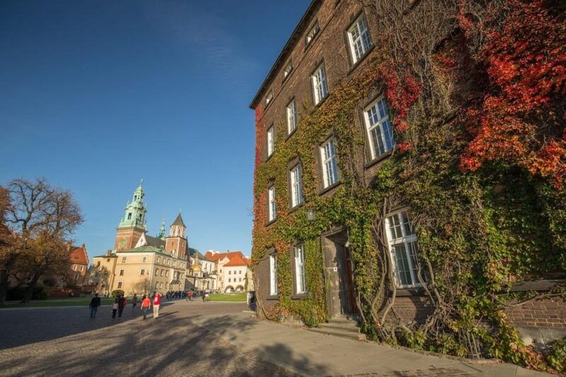 Rynek Underground, Wawel Castle and Cathedral Guided Tour - Who Should Consider This Tour?
