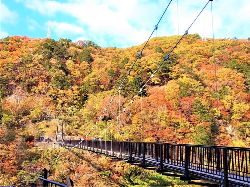 Ryuokyo Canyon Hiking Day Trip | Kinugawa Grand Suspension Bridge + Kinugawa Onsen - Forty-five minutes for lunch near Kinugawa Onsen Station