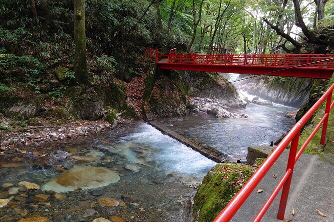 Ryusendo Cave and Kitayamazaki Cliffs Day Tour from Miyako Port - FAQs